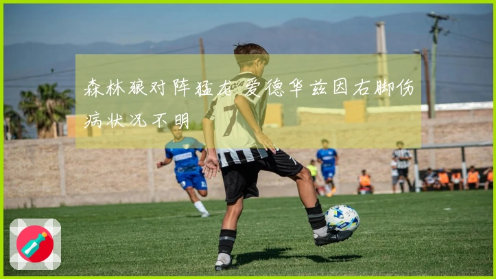 森林狼对阵猛龙 爱德华兹因右脚伤病状况不明