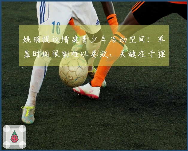 姚明提议增建青少年活动空间：单靠时间限制难以奏效，关键在于摆脱电子屏幕